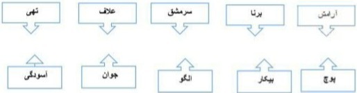 دریافت سوال 3