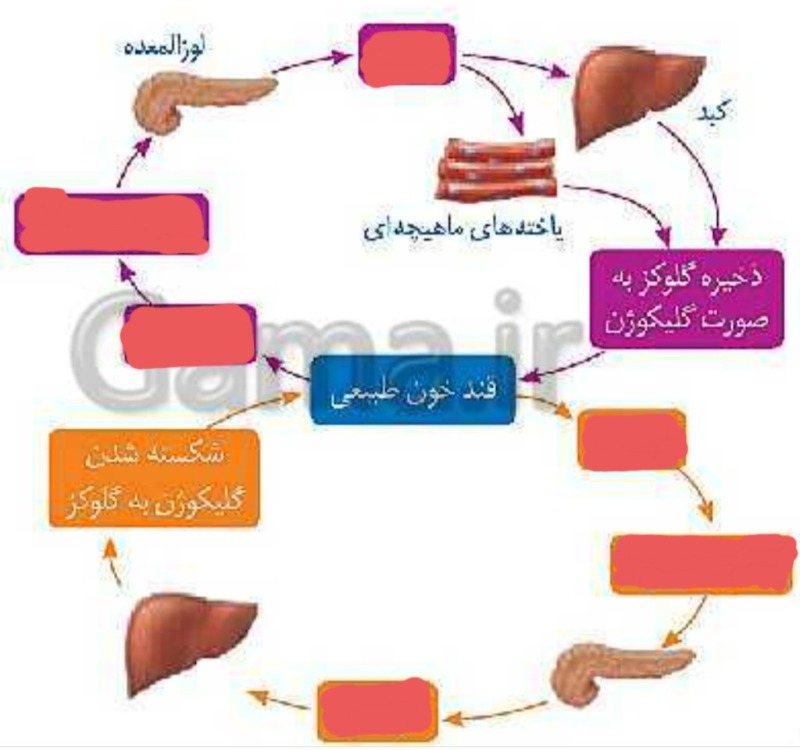 دریافت سوال 8