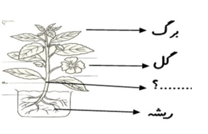 دریافت سوال 3