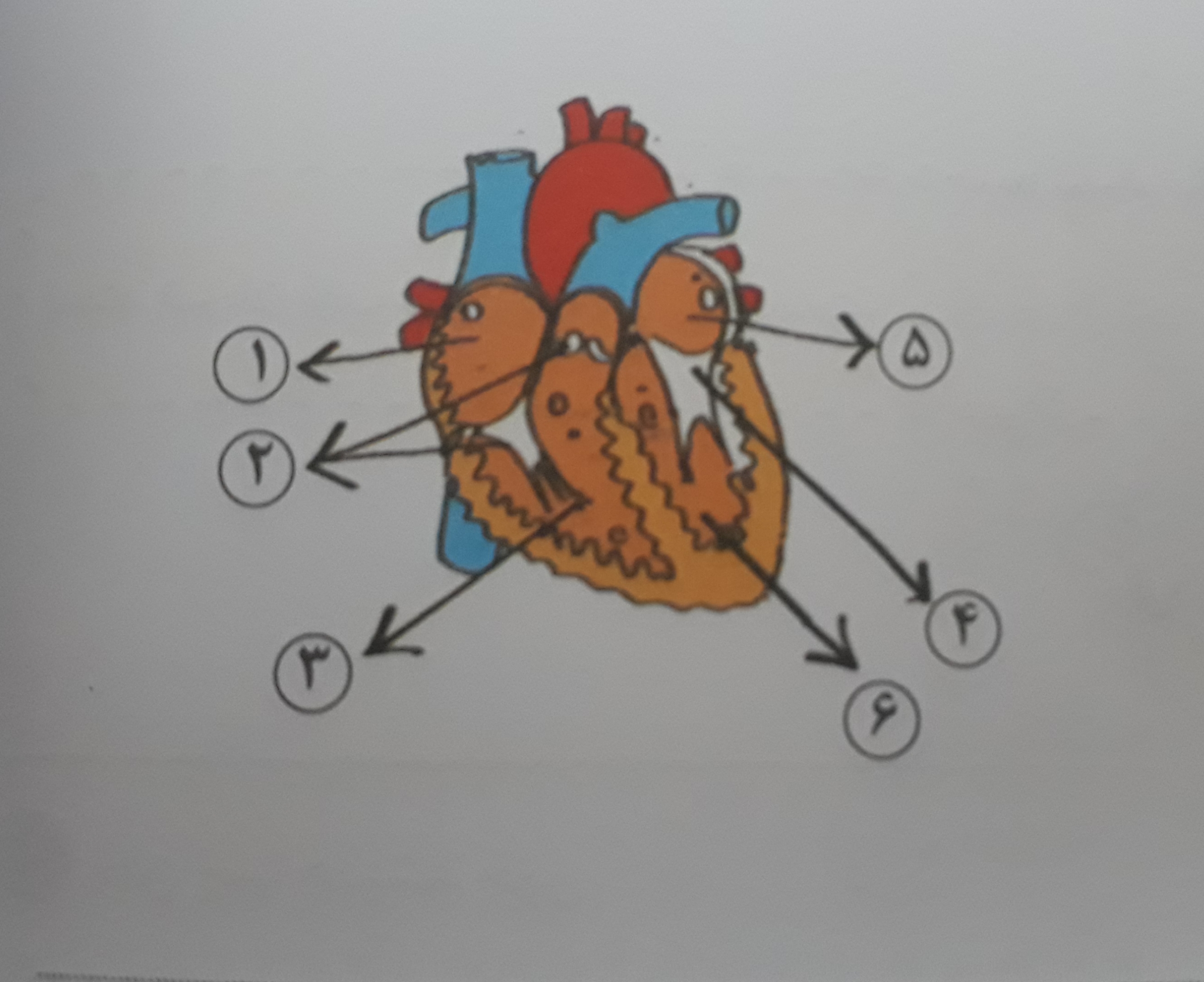 دریافت سوال 13