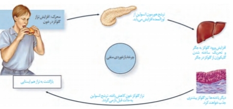 دریافت سوال 24