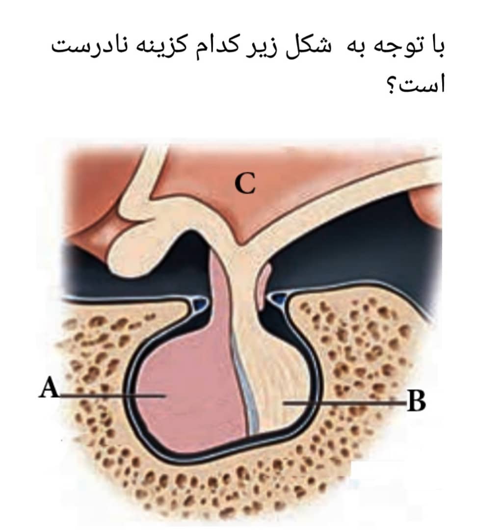 دریافت سوال 14