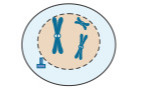 دریافت سوال 30