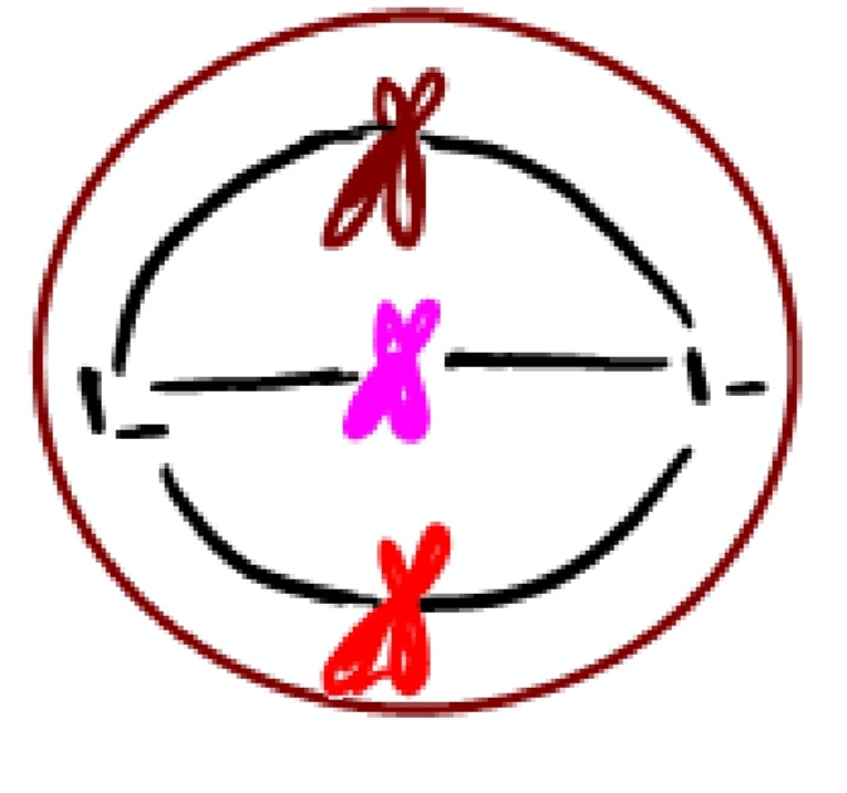 دریافت سوال 15