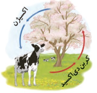 دریافت سوال 6