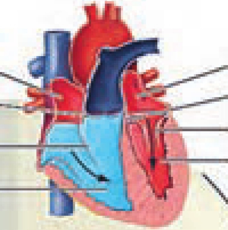 دریافت سوال 28