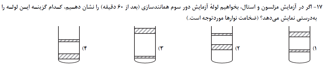 دریافت سوال 17