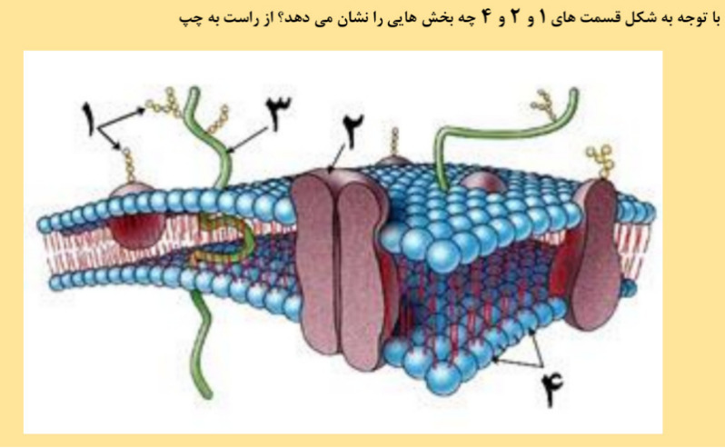 دریافت سوال 1