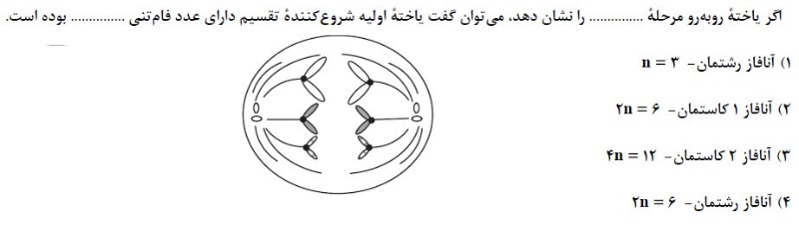 دریافت سوال 13