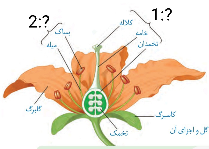 دریافت سوال 19