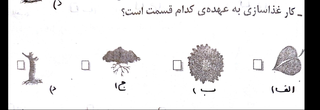 دریافت سوال 16