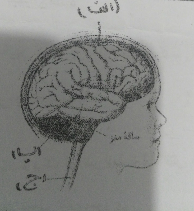 دریافت سوال 4