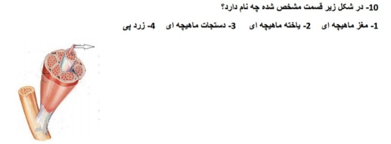 دریافت سوال 10