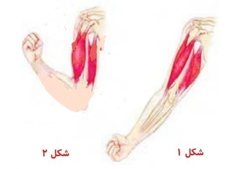 دریافت سوال 17