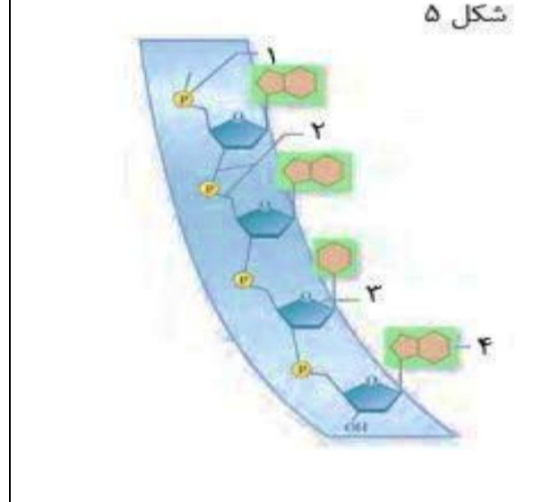 دریافت سوال 2