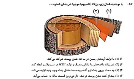 دریافت سوال 24