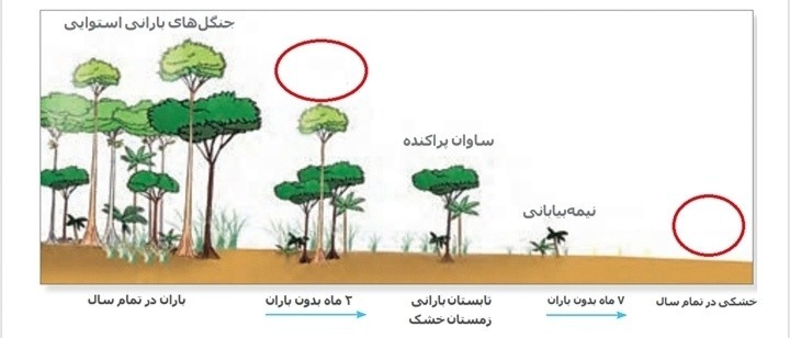 دریافت سوال 3