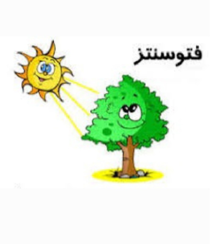 دریافت سوال 9