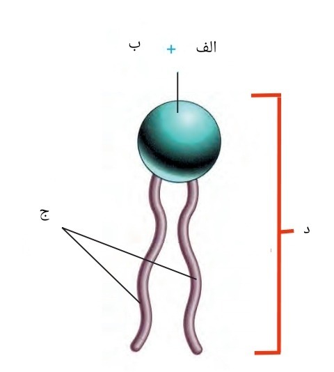 دریافت سوال 9