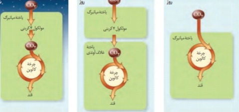 دریافت سوال 31