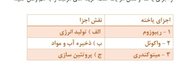 دریافت سوال 31