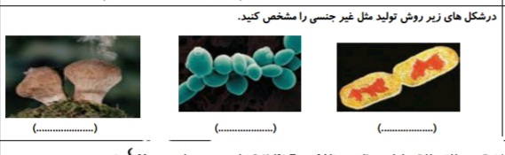 دریافت سوال 3