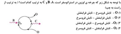 دریافت سوال 8