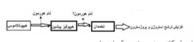 دریافت سوال 6