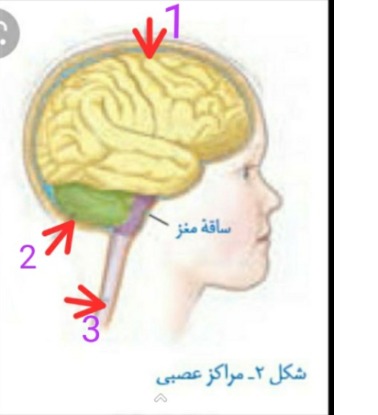 دریافت سوال 7