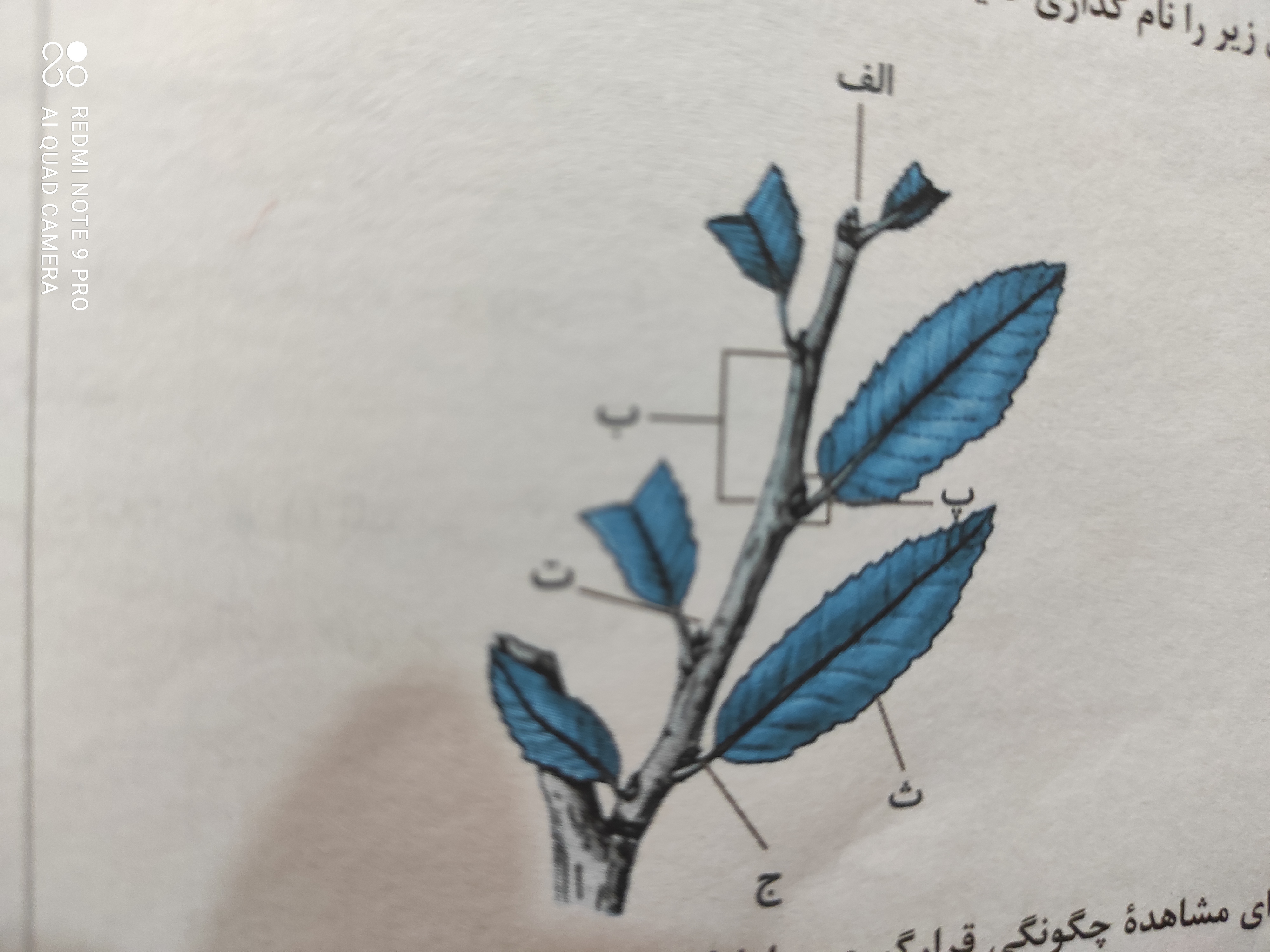 دریافت سوال 4