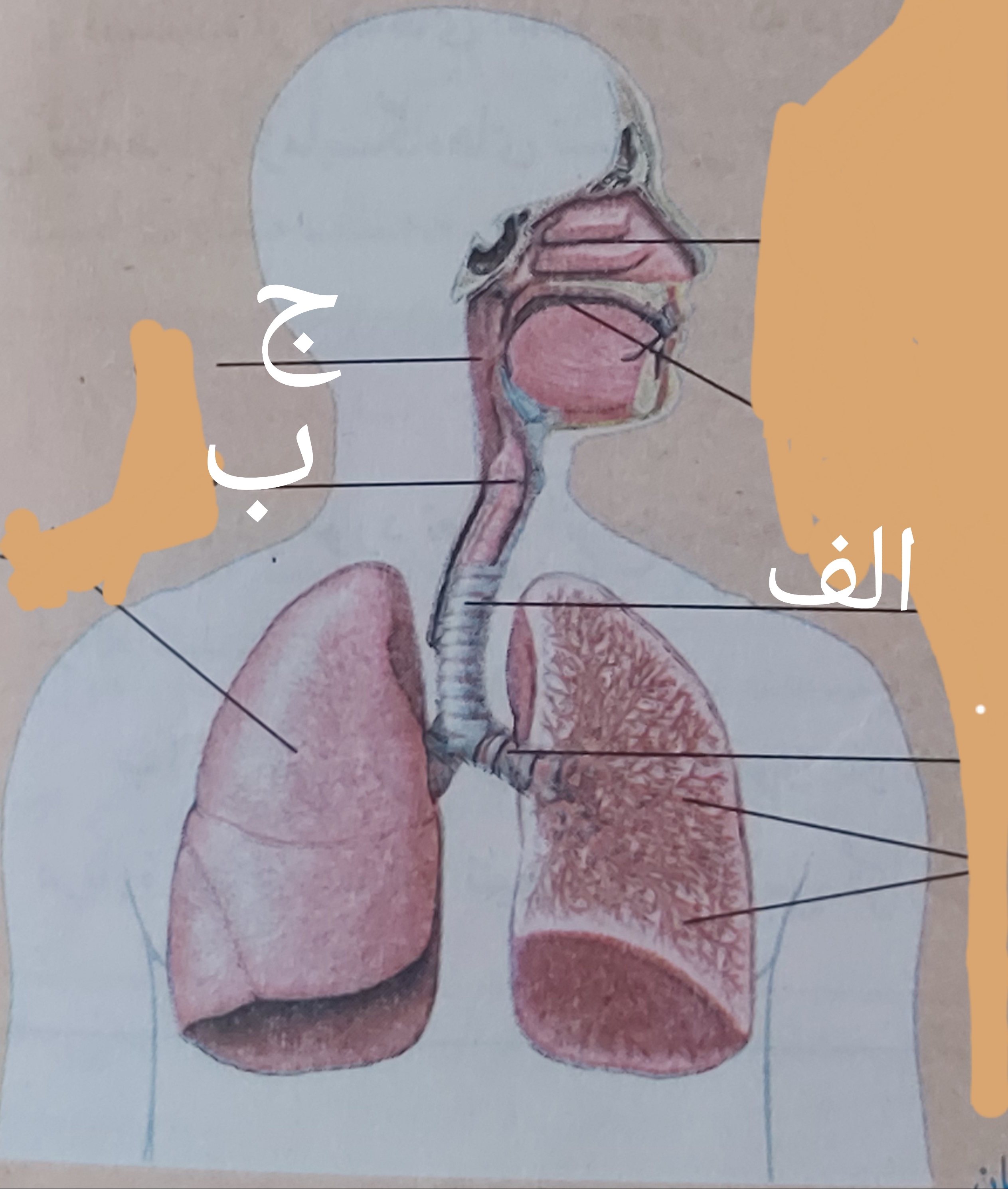 دریافت سوال 35