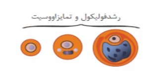 دریافت سوال 18