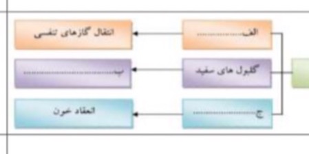 دریافت سوال 11