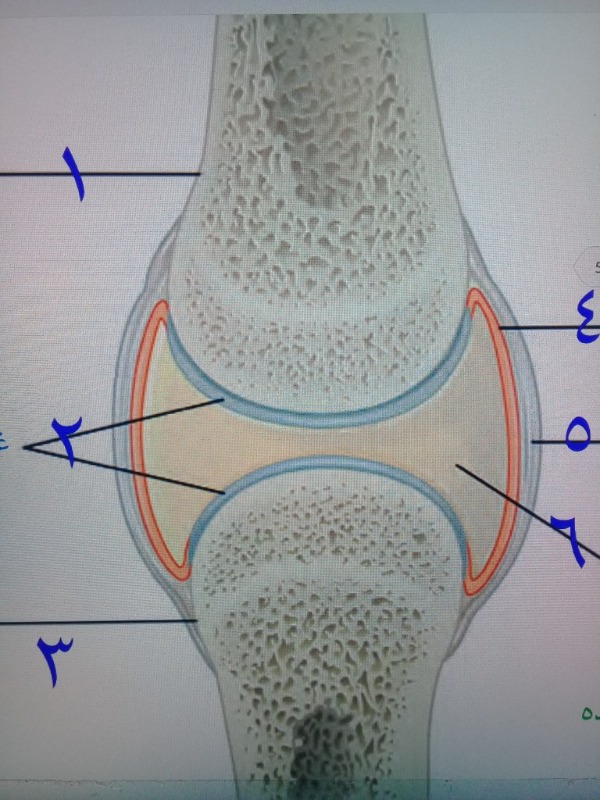 دریافت سوال 1