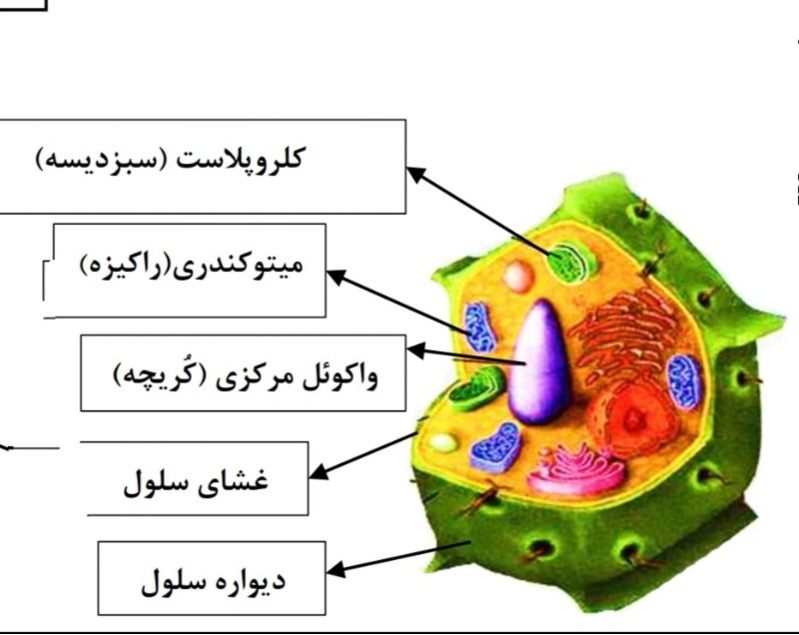 دریافت سوال 16