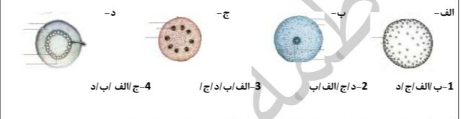 دریافت سوال 2