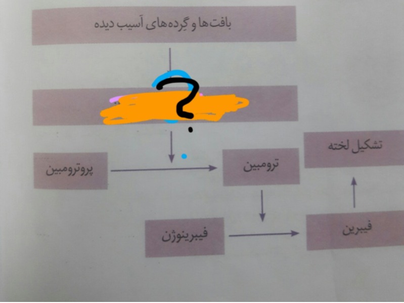 دریافت سوال 10