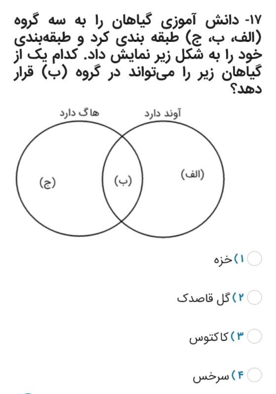 دریافت سوال 17