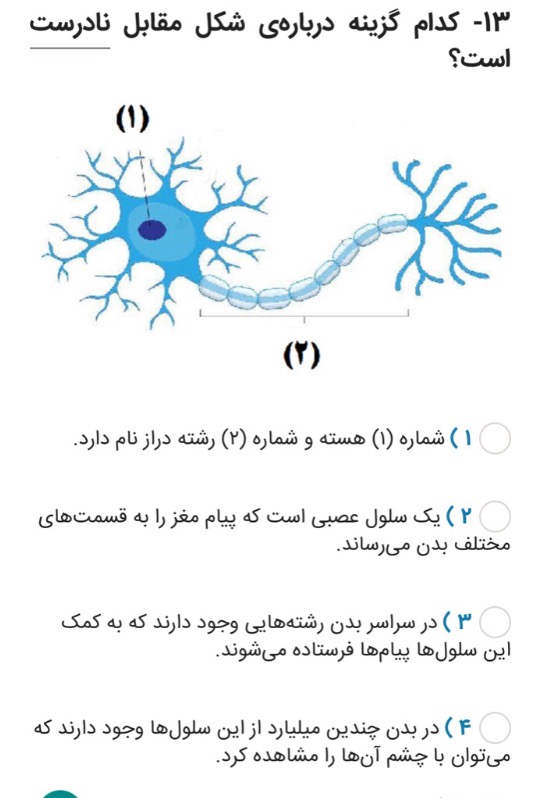 دریافت سوال 13