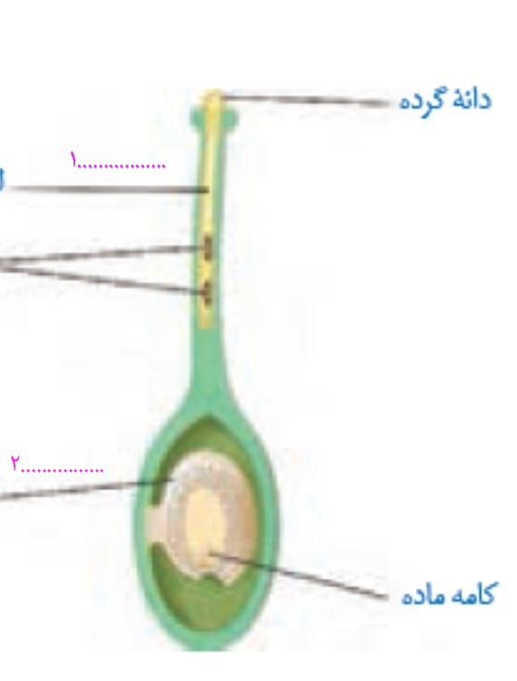 دریافت سوال 16