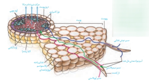 دریافت سوال 38