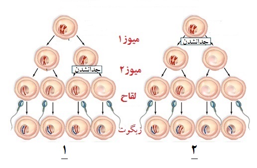 دریافت سوال 10