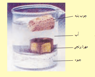 دریافت سوال 19