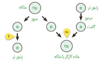دریافت سوال 14
