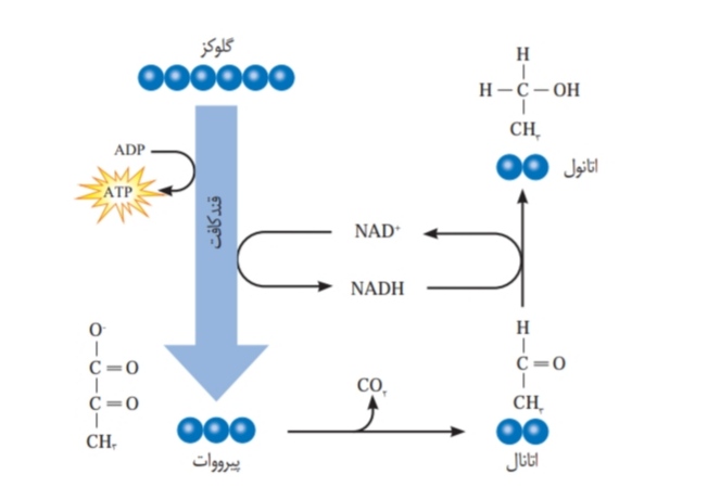 دریافت سوال 14