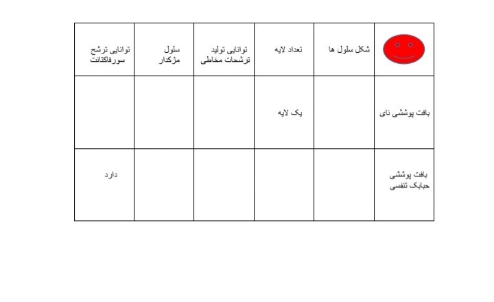 دریافت سوال 4