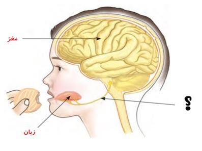 دریافت سوال 3