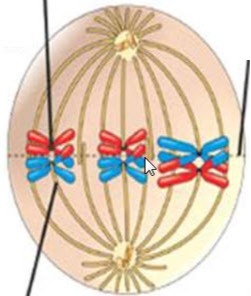 دریافت سوال 3