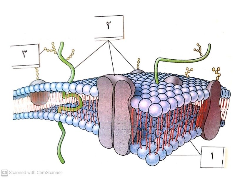 دریافت سوال 6