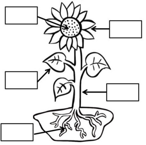 دریافت سوال 7